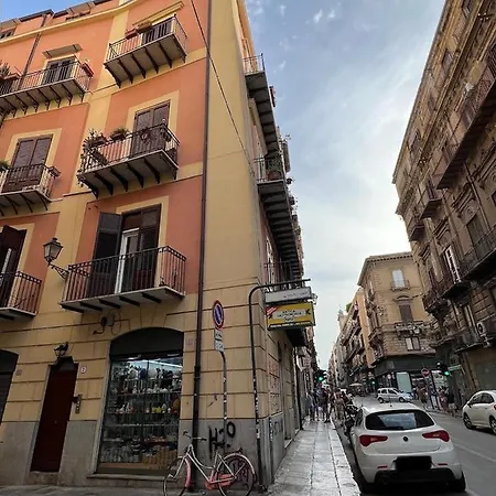 Pothos House Palermo